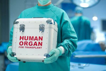 Фотография к новости: Пациенты на диализе в Казахстане требуют вернуть квоты на пересадку органов за границей