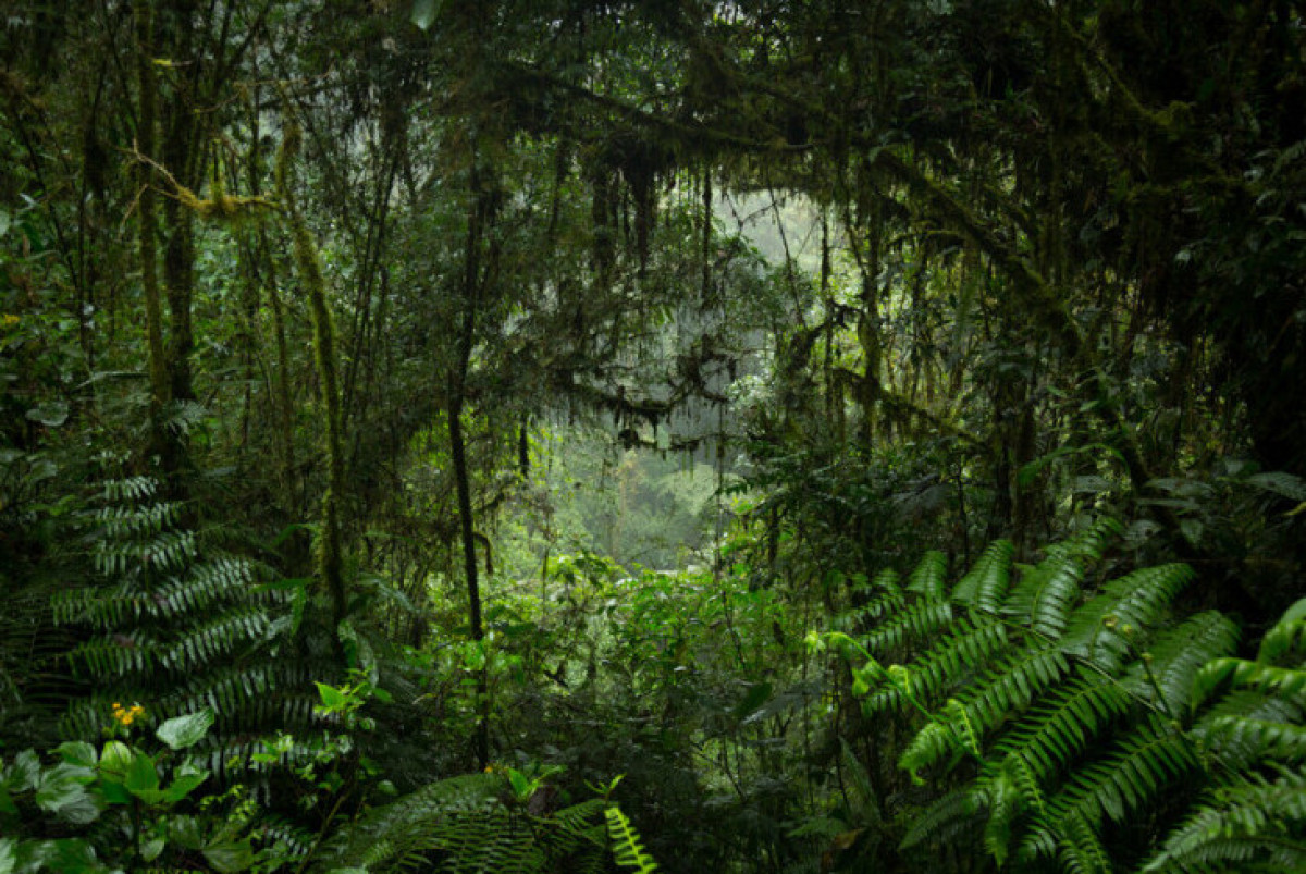  Shutterstock/FOTODOM