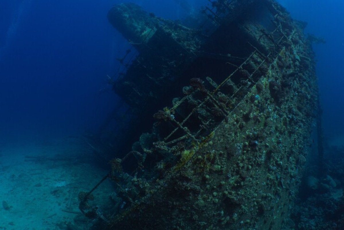  Shutterstock/FOTODOM