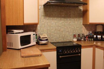 Фотография к новости: Устойчивых к излучению опасных бактерий обнаружили в микроволновках