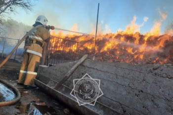 Фотография к новости: 120 тонн сена сгорело в Туркестанской области