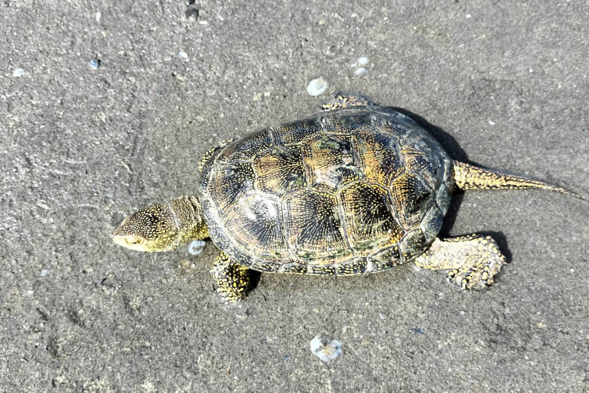  Адильбек Козыбаков