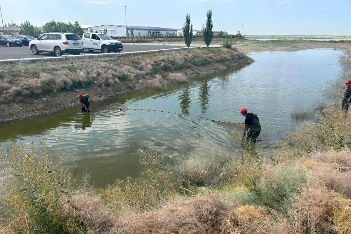  минсельхоз