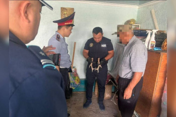 Фотография к новости: Рога архара и боеприпасы изъяли у пожилого жителя Туркестанской области