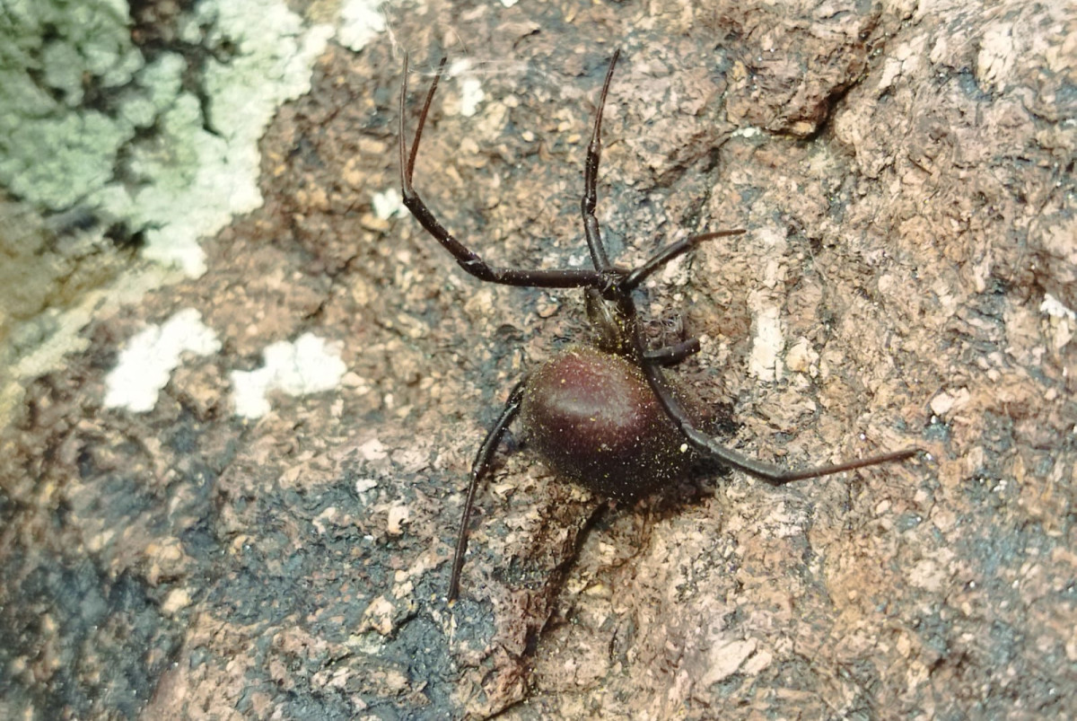  Айдына Есжанова