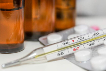 Фотография к новости: В Европе зафиксированы первые случаи заражения лихорадкой Оропуш