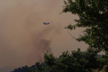 Фотография к новости: По подозрению в причастности к пожарам в Турции задержаны семь человек