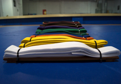 Фотография к новости: Казахстанцы не смогут принять участие в Азиатских играх по боевым искусствам