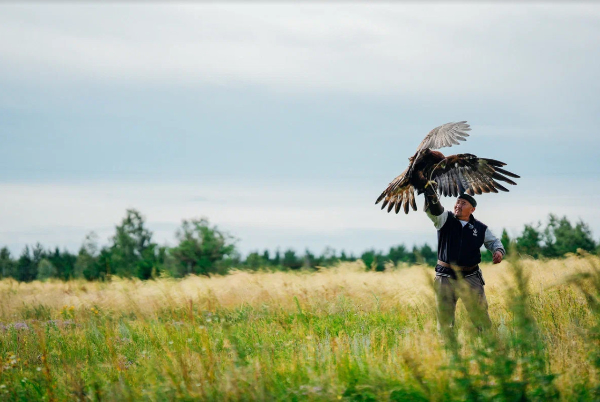  Ассоциация национальных видов спорта