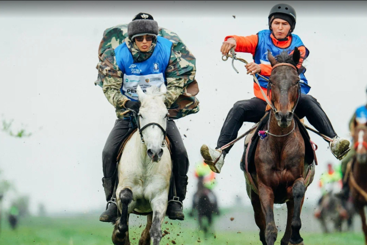  Ассоциация национальных видов спорта