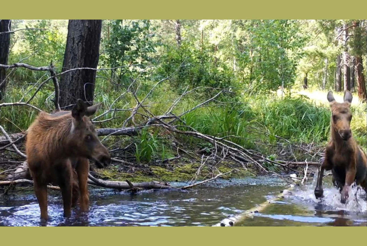  нацпарк “Бурабай"