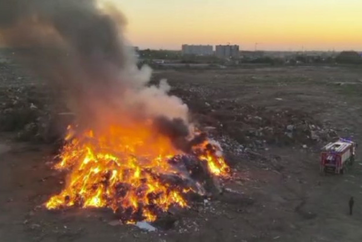  скриншот с видео