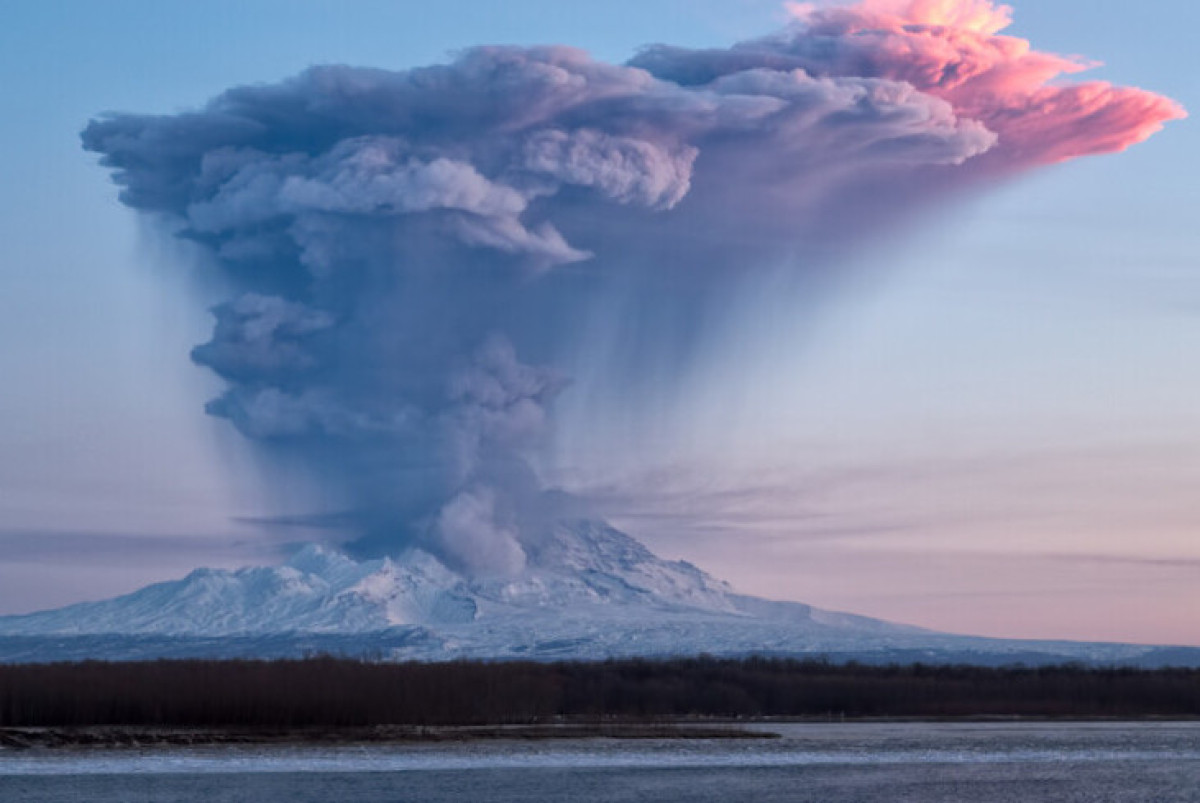  Shutterstock/FOTODOM