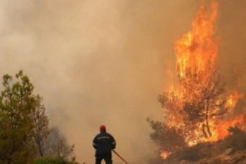 Фотография к новости: В Грузии загорелся Боржомский лес