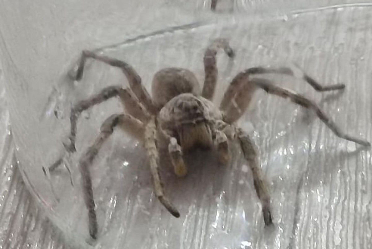  Instagram / zhaloby_uralska