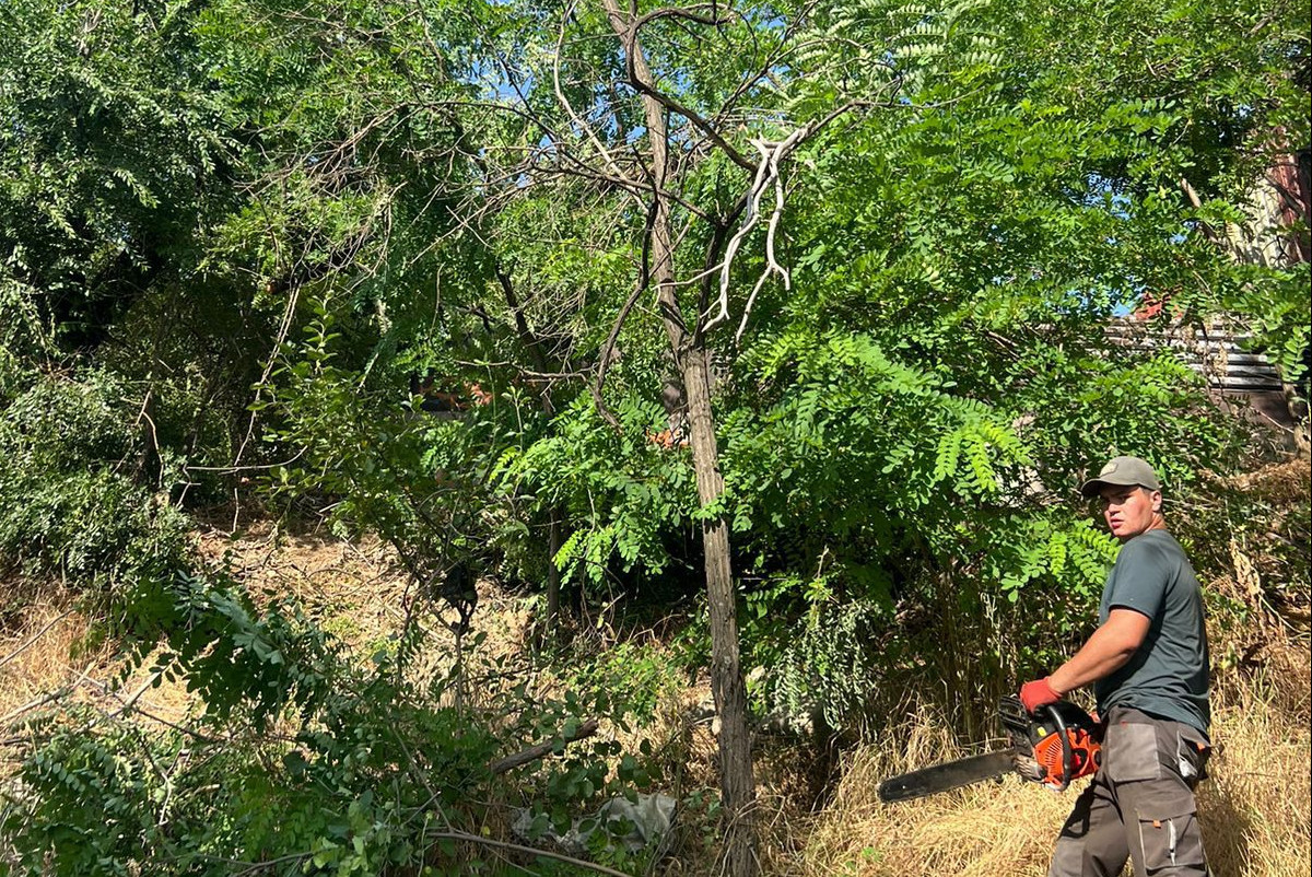  Адиль Садыков