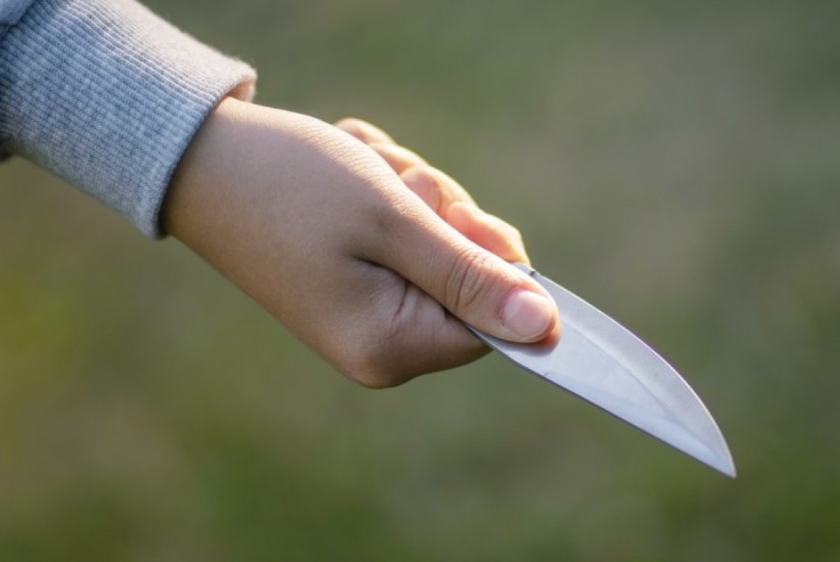  Shutterstock/FOTODOM