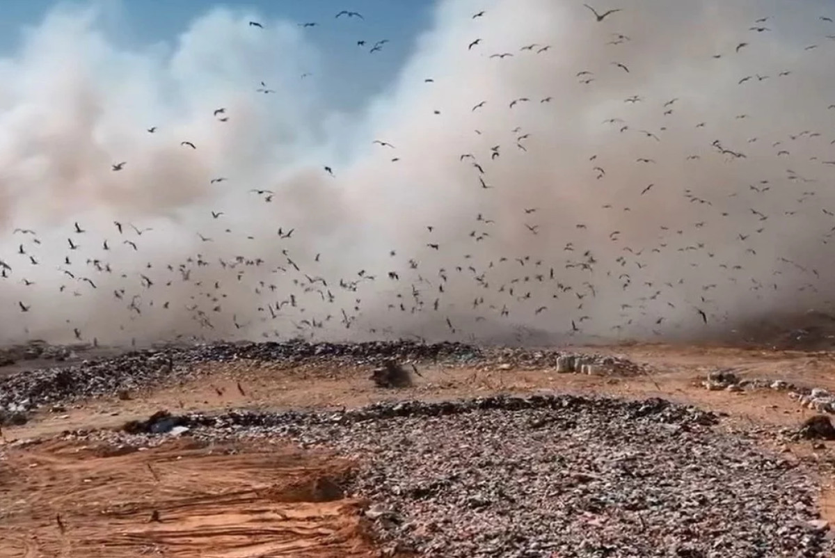  Instagram/azamat_sarsenbayev