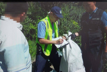 Фотография к новости: Коноплю изъяла полиция во дворе жителя Туркестанской области