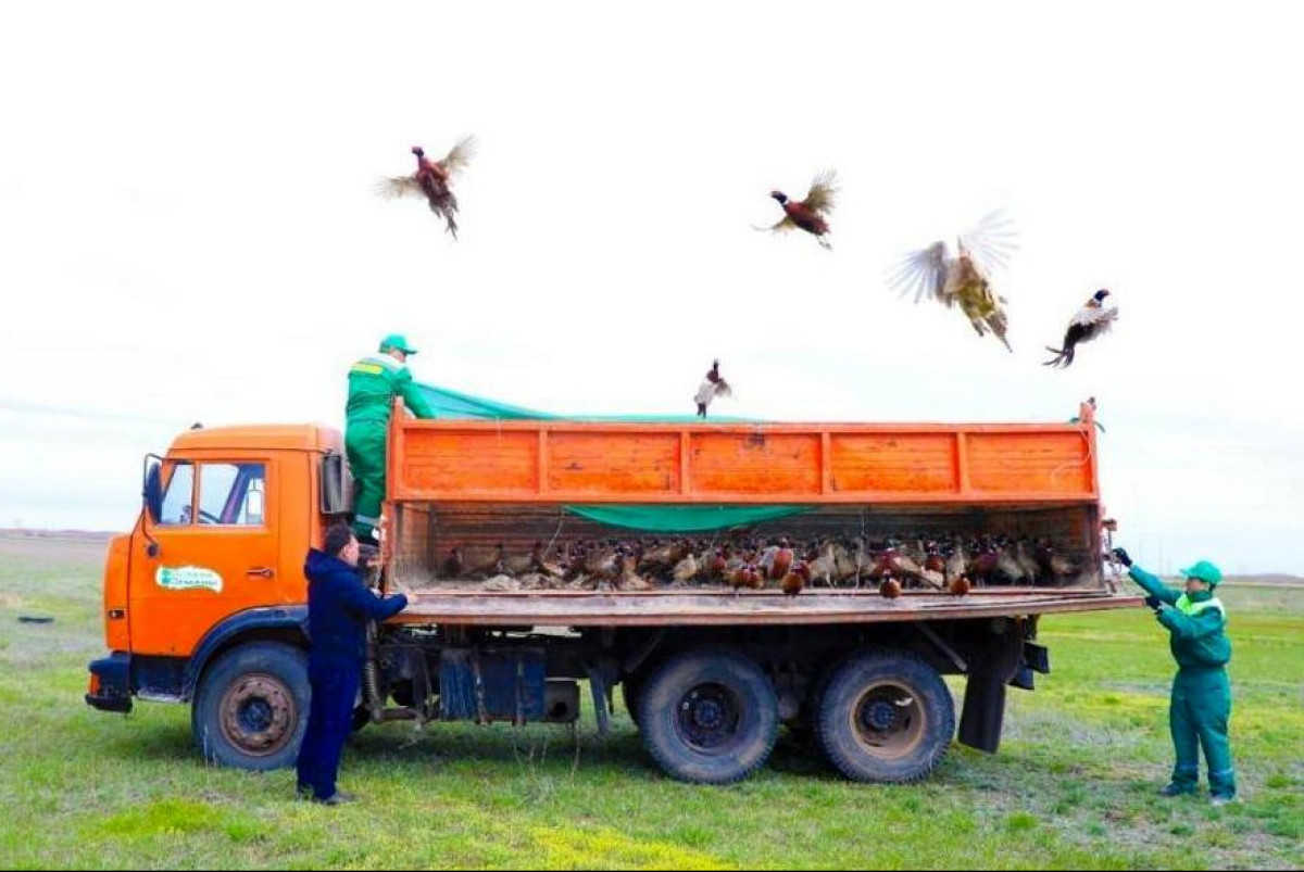  акимат Астаны