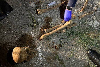 Фотография к новости: Человеческие останки найдены на территории Погранакадемии КНБ в Алматы