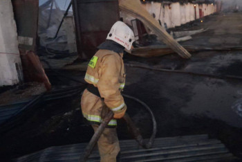 Фотография к новости: Зернохранилище сгорело в Акмолинской области