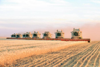 Фотография к новости: Более 18,5 млн тонн зерна намолочено в Казахстане