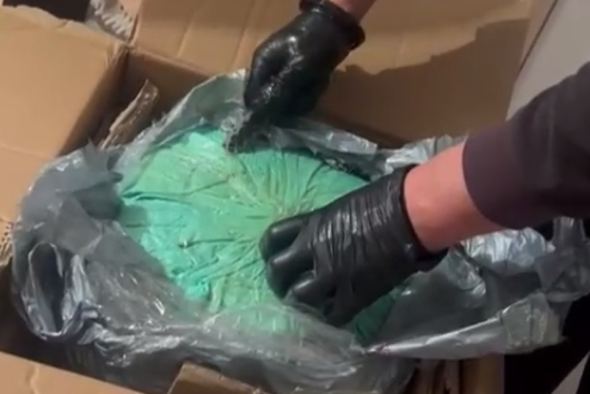  скриншот с видео МВД РК