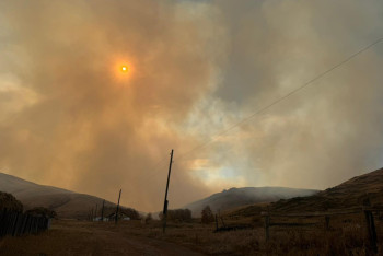 Фотография к новости: На место крупного степного пожара выехал аким Павлодарской области