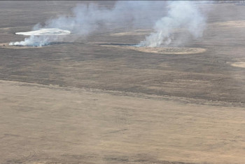 Фотография к новости: Трава загорелась в двух районах Акмолинской области