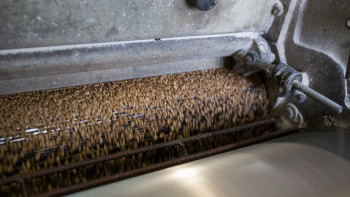 Фотография к новости: Четверо человек погибли на мельнице в Костанайской области