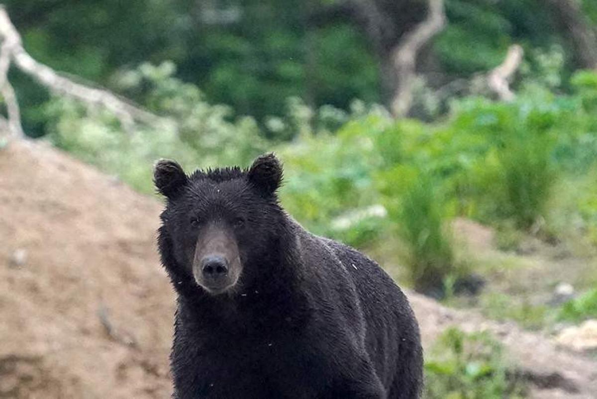  ИЗВЕСТИЯ/Эдуард Корниенко