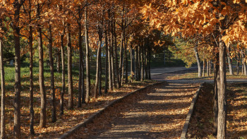 Фотография к новости: Синоптики предупредили жителей девяти городов Казахстана
