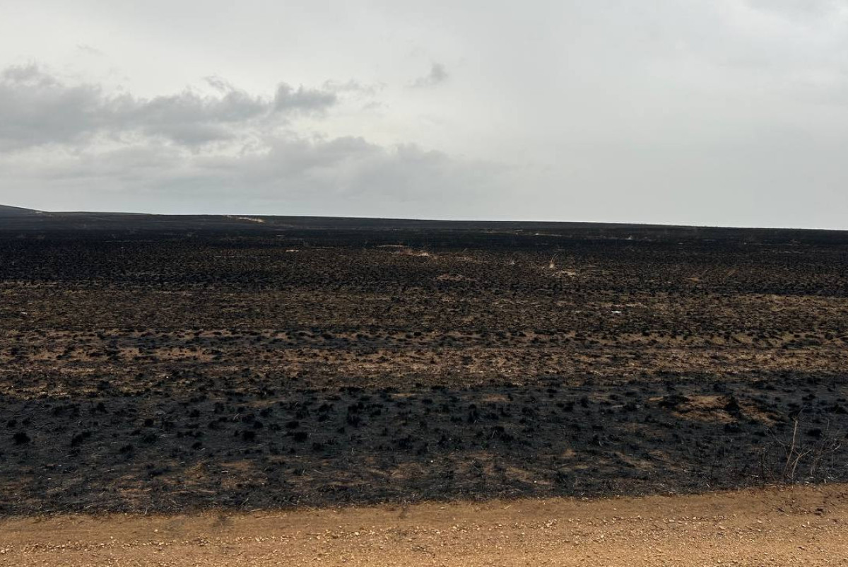  Марк Брюшко