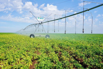 Фотография к новости: Поливной сезон завершили в Казахстане