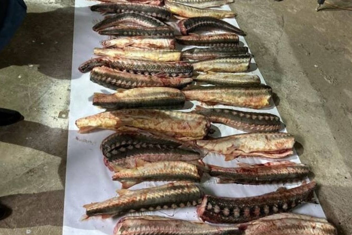  департамент полиции Атырауской области