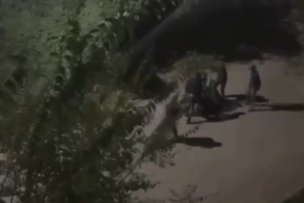  стопкадр с видео