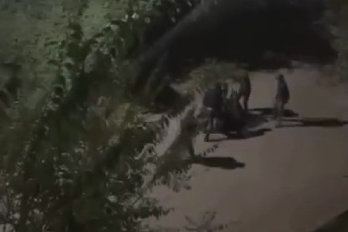  стопкадр с видео