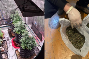 Фотография к новости: Организатора наркошопа задержали в ВКО