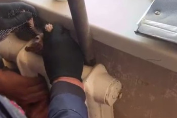 Фотография к новости: Застрявшего в раскалённой батарее котёнка достали спасатели в Кокшетау