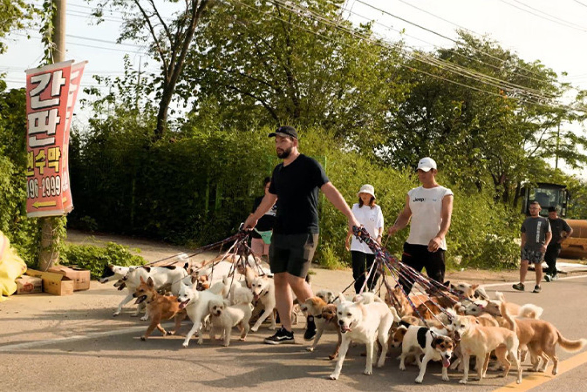  guinnessworldrecords.com