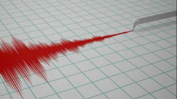Фотография к новости: Землетрясение случилось в 259 км от Алматы
