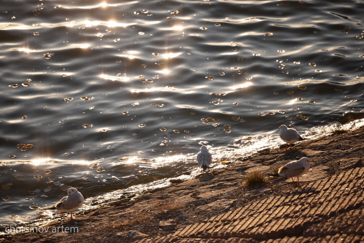  Артём Чурсинов/BaigeNews.kz