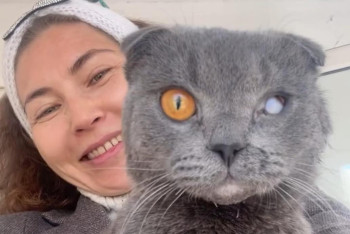 Фотография к новости: Перевязали и стреляли в беременную собаку: зооволонтёр из Атбасара борется за права животных