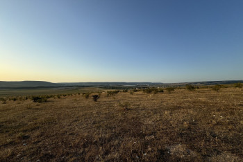 Фотография к новости: Прокуратура вернула государству 15 тысяч гектаров земли
