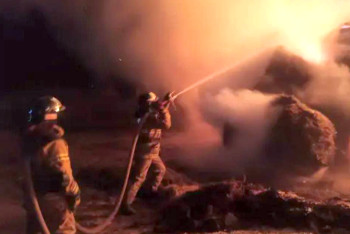 Фотография к новости: 500 тюков складированного сена загорелось в области Жетісу