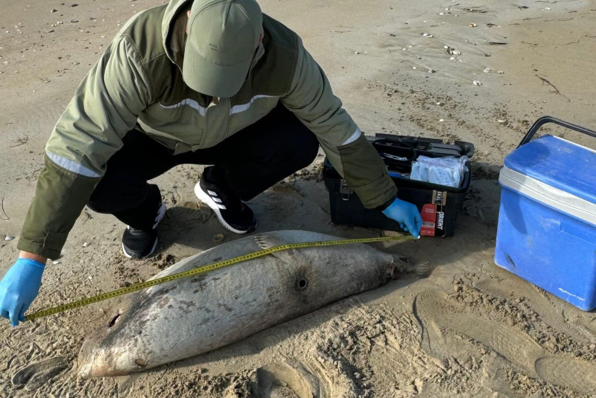  Центрально-Азиатский институт экологических исследований
