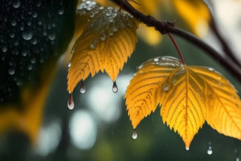 Фотография к новости: Штормовое предупреждение объявлено почти по всему Казахстану