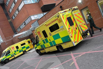 Фотография к новости: В Великобритании зафиксированы новые случаи оспы обезьян