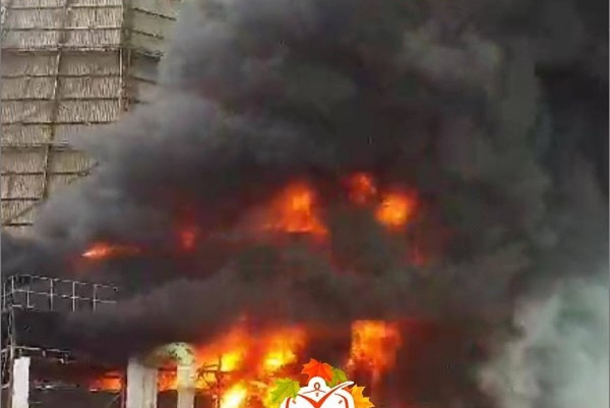  Instagram / tipavlo.dar